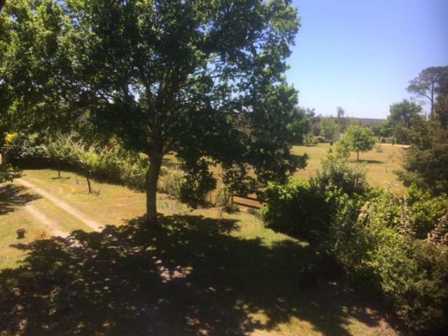 Stemicar Dans Les Landes Διαμέρισμα Lesperon  Εξωτερικό φωτογραφία